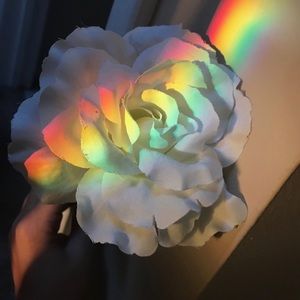 Meet your Posher, Stella